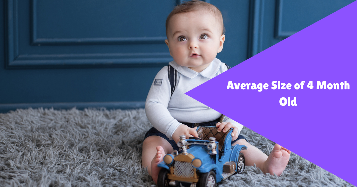 Average Size of 4 Month Old