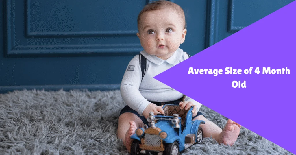 average size of a 4 month old