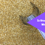 is urad dal good for weight loss